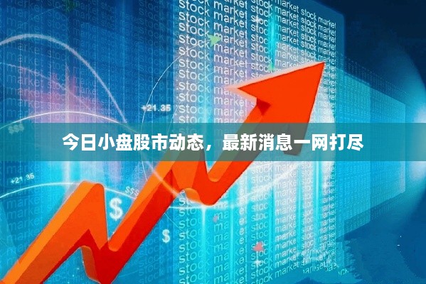 今日小盤股市動(dòng)態(tài)，最新消息一網(wǎng)打盡
