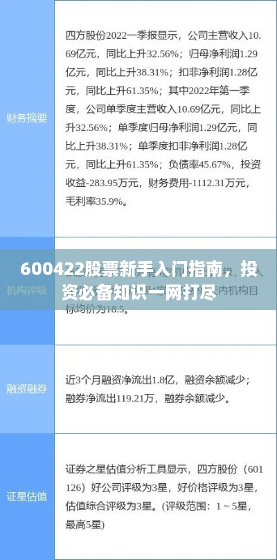 600422股票新手入門指南，投資必備知識一網(wǎng)打盡
