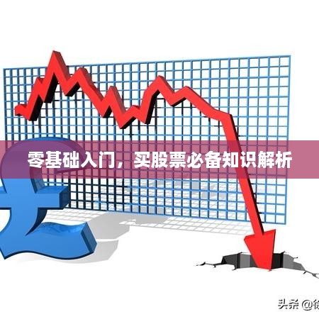 零基礎入門，買股票必備知識解析