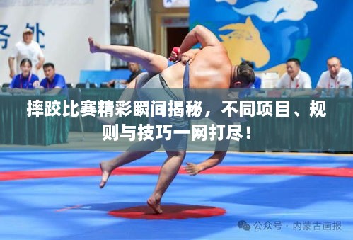 摔跤比賽精彩瞬間揭秘，不同項(xiàng)目、規(guī)則與技巧一網(wǎng)打盡！