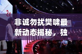 非誠(chéng)勿擾樊嘯最新動(dòng)態(tài)揭秘，獨(dú)家爆料吸引眼球！